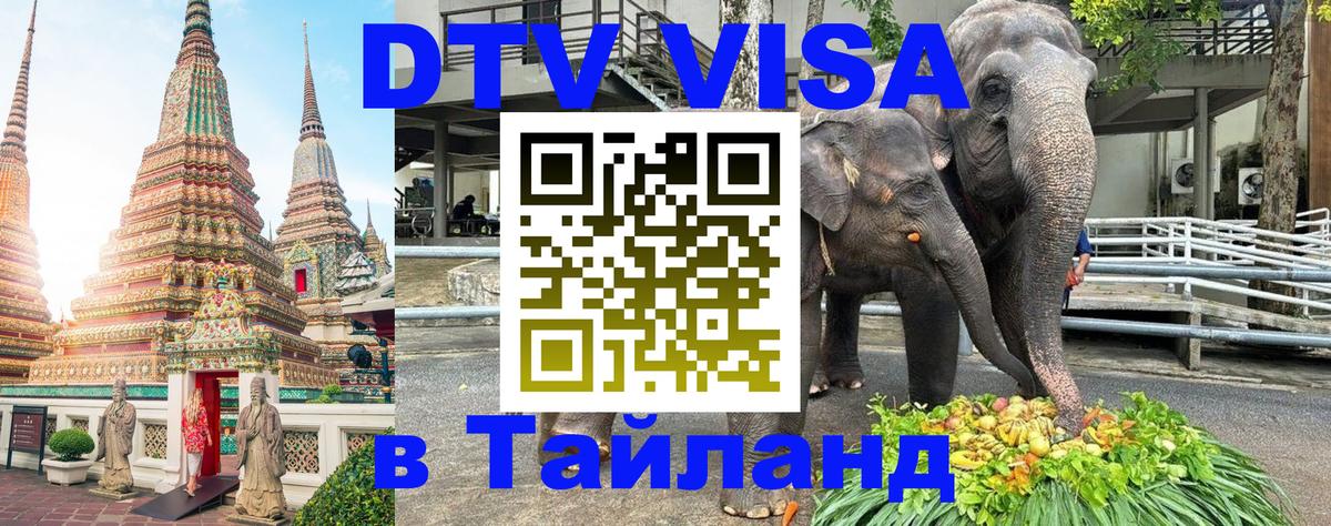 Оформление DTV визы под ключ: стоимость и тарифы, только загранпаспорт - Невинномысск  19.11.2025 